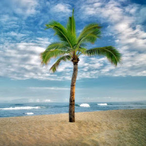 Meet your Posher, Scott and jessica